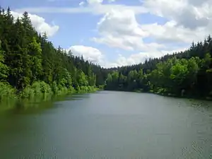 Blick vom Damm in Richtung Stauwurzel