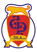 FC Dila Gori