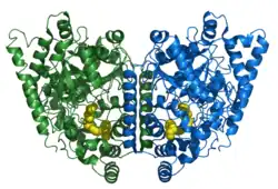 Fettsäureamid-Hydrolase