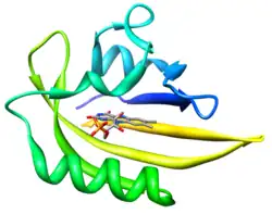 FMN-bindende Fluoreszenzproteine