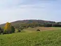 Felsberg (Quarzdiorit, Schiefergneise) mit Brandau-Beedenkirchener Vorland (Basite, flasrige Granitoide) von "Am-Schneeberg" südl. Beedenkirchens aus.