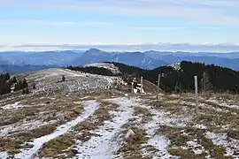 Blick vom selben Punkt nach Nordosten. Als Gipfel der Fensteralpe gilt offiziell die Kuppe rechts im Bild.