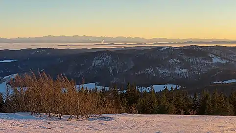 Fernsicht vom Herzogenhorn zu den Alpen