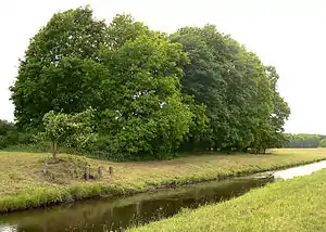 Standort der früheren Burg Hodenhagen in einem Wäldchen an der Meiße