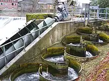 Wasserkraftschnecke am Wehr von Schloss Laer (neben Fischpass)Leistung ca. 15 kW