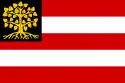 Flagge der Gemeinde ’s-Hertogenbosch