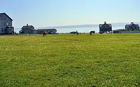 Grasende Hirsche vor den ehemaligen Offiziersquartieren im Fort Flagler State Park