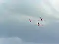 Flamingos bei Cayo Coco