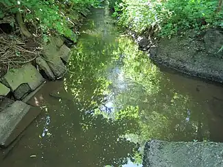 Zusammenfluss von Flehbach (vorne) und Bruchbach (rechts). Im weiteren Verlauf heißt der Bach Faulbach