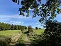 Landschaft um Fliegeneichen/ Weg zur Neye-Talsperre