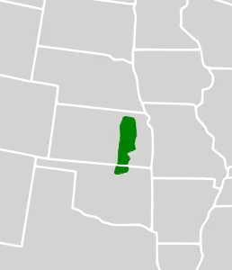 ungefähre Lage der Ökoregion Flint Hills in den Vereinigten Staaten