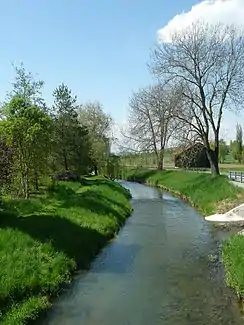 Das Flüsschen Biber bei Ramsen am 3. Mai 2008