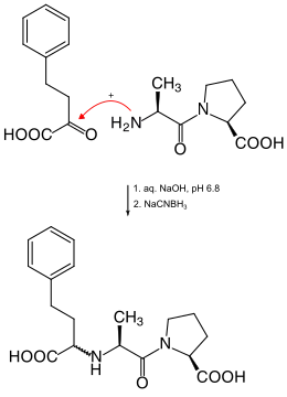 Synthese von Enalaprilat (Enalaprilsäure)