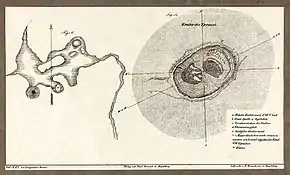 Fig. A: Quelle Sissopan (S. 224), mit ihren Sprudeln, die sich aus kleinen Becken erheben.Fig. B: Krater des Tjermai (S. 236). – Diese Zeichnung ist so detailliert, dass sogar die ausgeschabten Rinnen der Rhinozeros-Pfade zu sehen sind (siehe Rhinozerospfad).