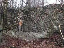 ehemaliger Steinbruch am Kleinen Freeden