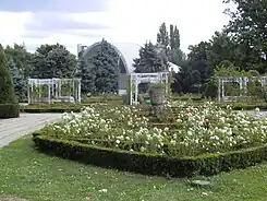 Freilichtbühne-Rosenpark, 2010