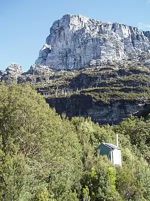 Frenchmans Cap, ein bekannter Berg im Nationalpark