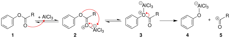 Mechanismus 1 der Fries-Umlagerung