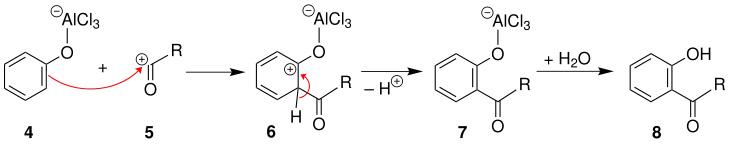 Mechanismus 2 der Fries-Umlagerung