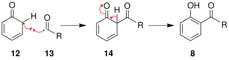 Mechanismus 2 der Photo-Fries-Umlagerung über Radikale