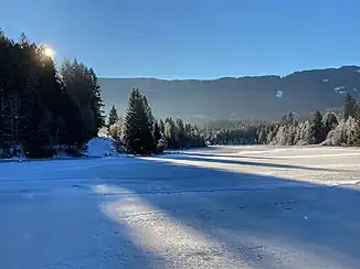 Fronreitener See von dessen Nordseite im Winter