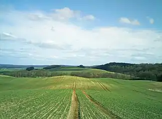 Brohmer Berge am Fuchsberg nahe Gehren