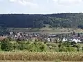 Gültlingen von Norden aus aufgenommen