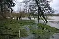 Die Swinow überschwemmt bei Hochwasser die Stadtwiesen.