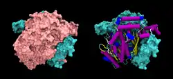 Glucose-6-phosphat-Isomerase