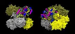 Glyceraldehyd-3-Phosphat-Dehydrogenase