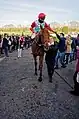 Tünnes mit Jockey Bauyrzhan Murzabayev auf dem Weg vom Geläuf zum Absattelring