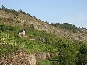 Anfang des Maindreiecks: Muschelkalk bei Karlstadt,Lage: Gambacher Kalbenstein