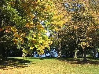 Ausläufer der Nauener Platte zur Havel bei Berlin-Gatow