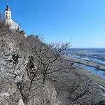 Südhang des Geotops Bogenberg