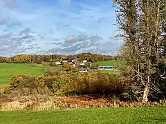 Gerhardsfeld (Blick von der Straße nach Berghausen)