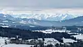 Blick zu den Glarner Alpen