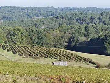 Der Landais bei Sainte-Foy-des-Vignes