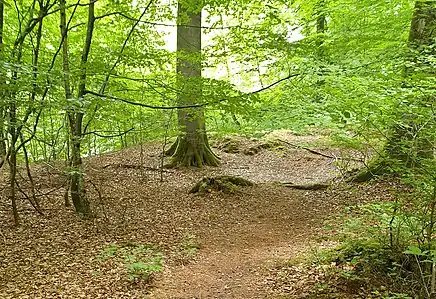 Glücksburger Dolmenwanderweg 5.Grab Langbett