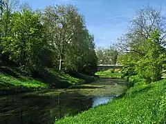 Die Glatt in Opfikon-Glattbrugg