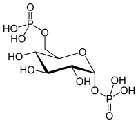 Strukturformel von Glucose-1,6-bisphosphat