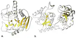 Glycosyltransferasen