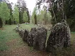 Schiffssetzungen bei Gnisvärd