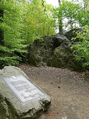 Goethefelsen auf dem Herrgottsberg bei Darmstadt. Wechsellagerung von graugrün gesprenkeltem Uralitdiabas, Amphibolit und Kalksilikatfels.