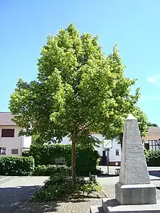 Goethe-Linde mit Denkmal in der Ortsmitte