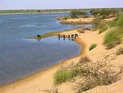 Der Niger in Gourma-Rharous