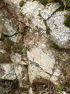 Piégut-Pluviers-Granodiorit mit rosafarbenem Aplitgang bei Moulin de La Côte