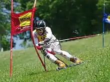 Daniel Gschwandtner im Riesenslalom der Österreichischen Meisterschaften 2010