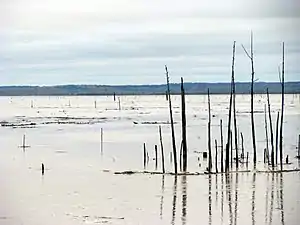 Nördlicher Bereich des Grenada Lake