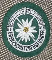 Ärmelabzeichen eines Grenzschutzbergführers der Bundespolizei (Deutschland)