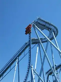 Griffon in Busch Gardens